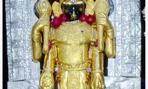 जलझूलनी पर चारभुजा नाथ बड़ा मंदिर तक निकलेगी तीन किमी पैदल यात्रा