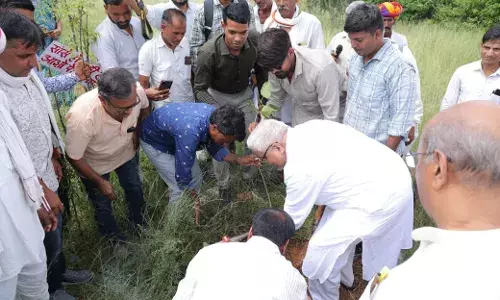 भारत का चिंतन विश्व की अमूल्य निधि है - जोशी