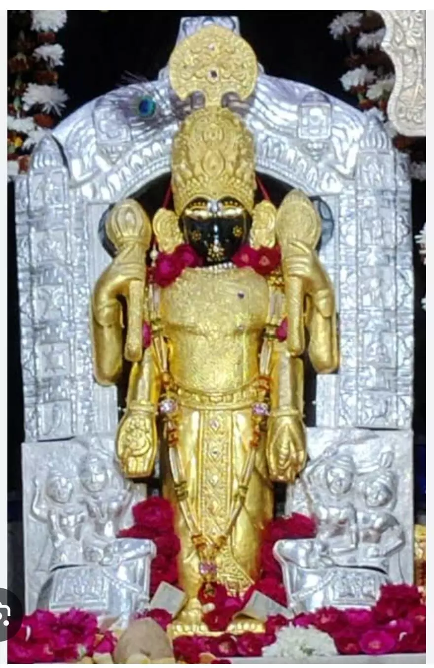 जलझूलनी पर चारभुजा नाथ बड़ा मंदिर तक निकलेगी तीन किमी पैदल यात्रा