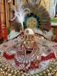 पुर से गढ़बोर 28 वी पवित्र पदयात्रा कल