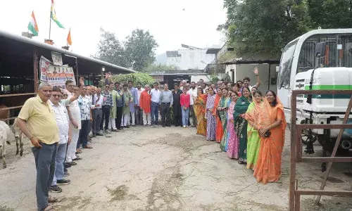 दधीचि जयंती पर गौ माता को चारा एवं गुड खिलाकर की गौसेवा