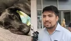 अनोखा मामला: दुकानदार को काटने के बाद कुत्ते की मौत, सभी हैरान