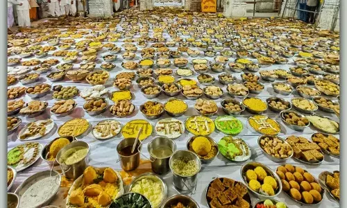 कोटड़ी में जलझूलन महोत्सव: 1151 किलो शक्कर से बना छप्पनभोग प्रभु चरणों में अर्पित