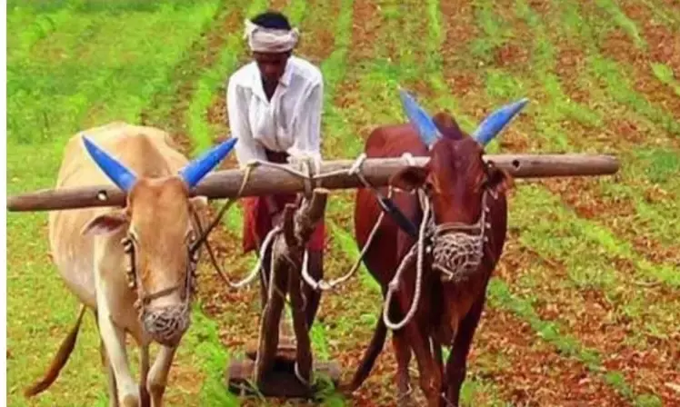 रबी सीजन में किसानों तक पहुंचेंगे 16 हजार कृषि वैज्ञानिक, धनतेरस तक चलेगा अभियान