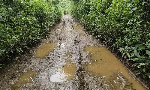 शक्करगढ़ पंचायत क्षेत्र में गंदगी का अंबार, ग्रामीणों का फूटा गुस्सा – सरपंच बोली “2 बार पंचायत समिति को लिखित में आदेश मांगा फिर भी आदेश नहीं” शक्करगढ़ पंचायत क्षेत्र में गंदगी का अंबार, ग्रामीणों का फूटा गुस्सा – सरपंच बोली “2 बार पंचायत समिति को लिखित में आदेश मांगा फिर भी आदेश नहीं”