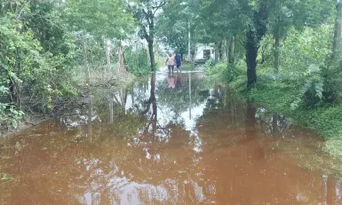 बड़ी हरणी तालाब ओवरफ्लो, खेतों में भरा पानी, किसानों की फसलें संकट में