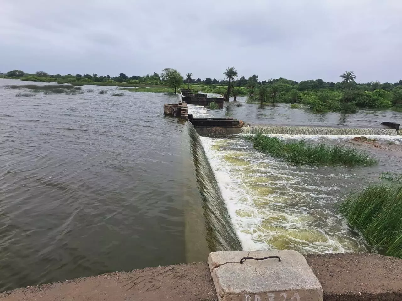 गुवारड़ी बांध पर बारिश के बाद बहती चादर ने खींचा लोगों का ध्यान