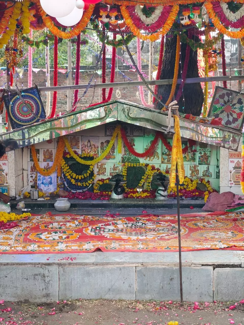 बबराणा में तेजाजी का एकदिवसीय मेला, ध्वज यात्रा के साथ उमड़ा आस्था का सैलाब