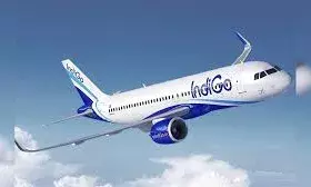 इंडिगो फ्लाइट से पक्षी टकराया, सुरक्षित लैंडिंग,272 यात्री थे सवार इंडिगो फ्लाइट से पक्षी टकराया, सुरक्षित लैंडिंग,272 यात्री थे सवार