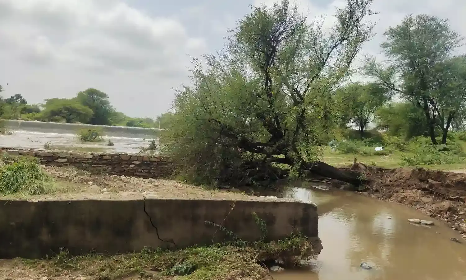 तीन साल में ही टूटा पुल, ग्रामीणों में आक्रोश, मानसी नदी पर बना था पुल, आवाजाही ठप