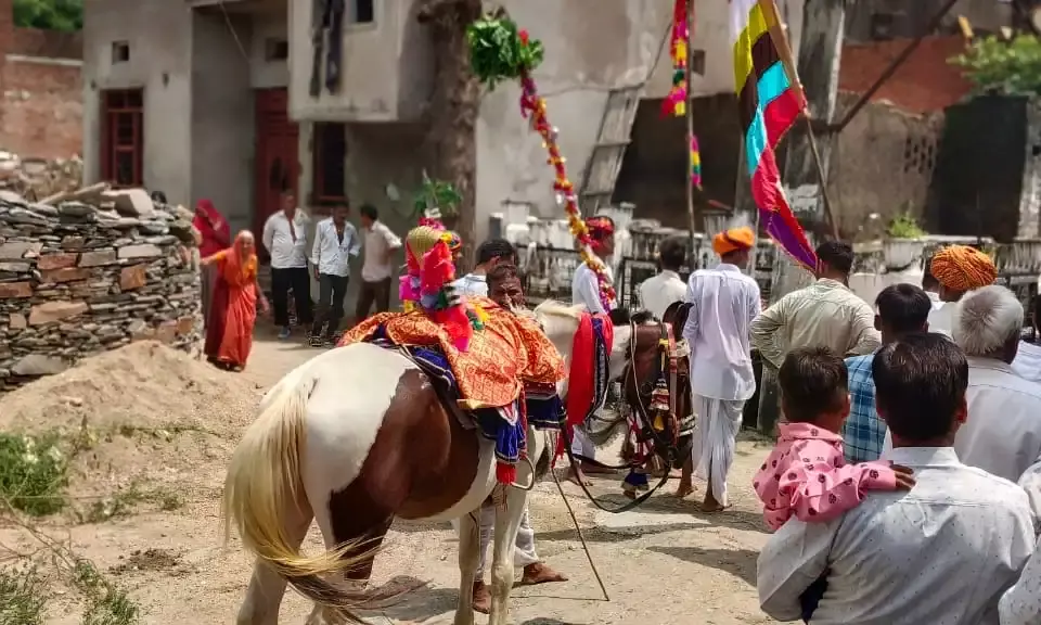 मानपुरा में तेजाजी महाराज की निकाली शोभायात्रा