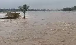 दौसा में बादलों का कहर: किसानों के सपने बहा ले गया नालावास बांध दौसा में बादलों का कहर: किसानों के सपने बहा ले गया नालावास बांध