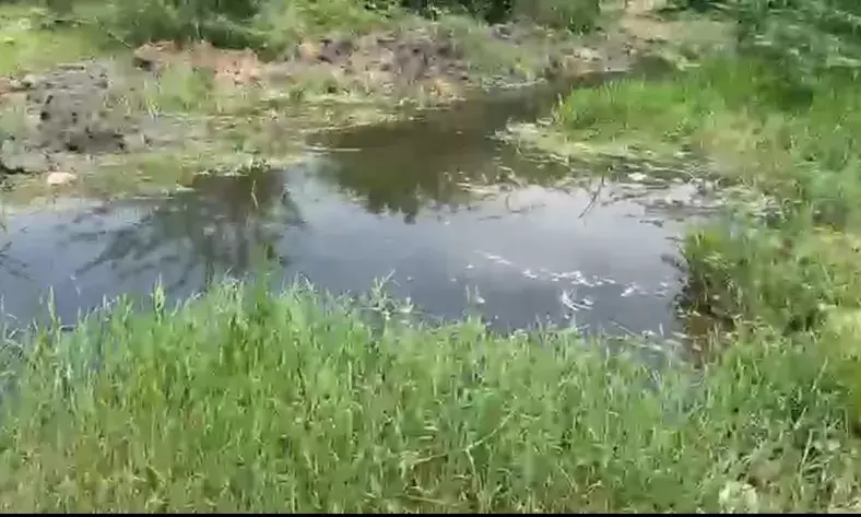 बनास नदी बना जहर का दरिया: फैक्ट्रियों की लापरवाही से बढ़ा जलसंकट