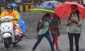 नोएडा-चंडीगढ़ में स्कूल बंद, सड़कों पर भरा पानी, पंजाब-हरियाणा में बाढ़ जैसे हालात