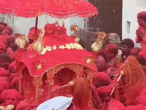 देवझूलनी एकादशी पर कोटडी, सांवल‍िया सेठ व चारभुजाजी की निकली भव्य शोभायात्राएं, बारिश में भी भक्तों का उत्साह चरम पर