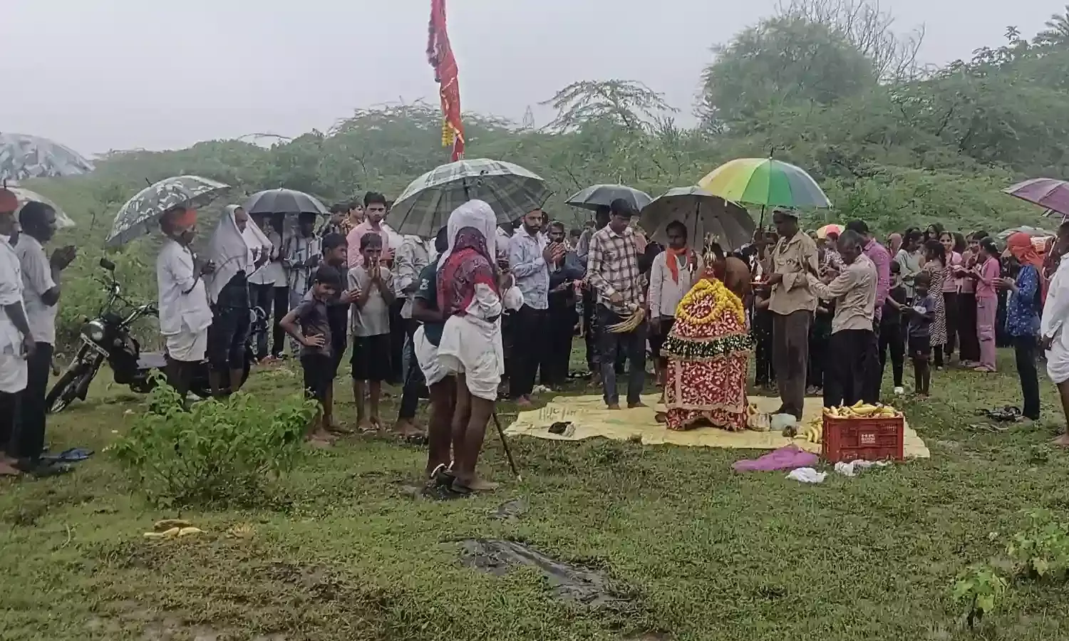 धुलखेड़ा में जल झूलनी एकादशी: चारभुजा नाथ बड़ा मंदिर से निकली भव्य शोभायात्रा