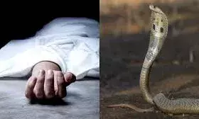 सर्पदंश से महिला की गई जान