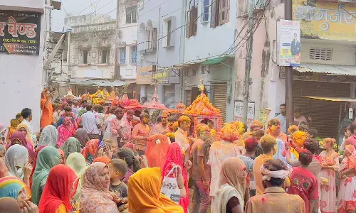 रायला में धूमधाम से मनाया जलझूलनी एकादशी का पर्व