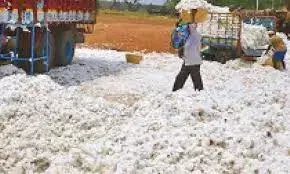 कपास आयात शुल्क पर एसकेएम की आपत्ति, पीएम मोदी को लिखा खुला पत्र कपास आयात शुल्क पर एसकेएम की आपत्ति, पीएम मोदी को लिखा खुला पत्र