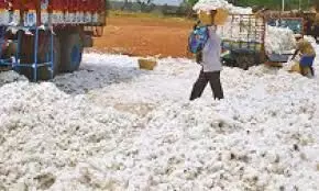 कपास आयात शुल्क पर एसकेएम की आपत्ति, पीएम मोदी को लिखा खुला पत्र कपास आयात शुल्क पर एसकेएम की आपत्ति, पीएम मोदी को लिखा खुला पत्र