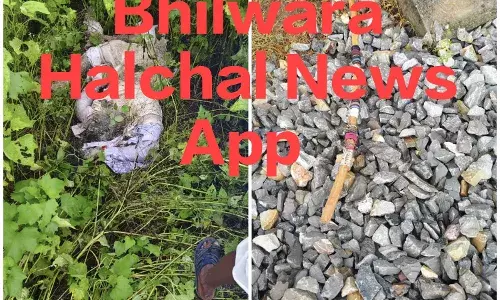 ट्रेन की टक्कर से बुजुर्ग की मौत, तीन दिन बाद झाडिय़ों में मिला शव, नहीं हुई पहचान