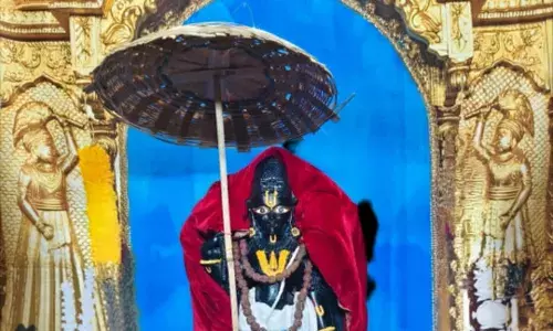 नौगांवा सांवरिया सेठ ने लिया वामन अवतार, उमड़ा भक्तों का सैलाब