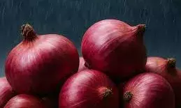 महंगे प्याज पर लगाम: सरकार ने शुरू की सस्ती प्याज की बिक्री, कई शहरों में खुले स्टॉल