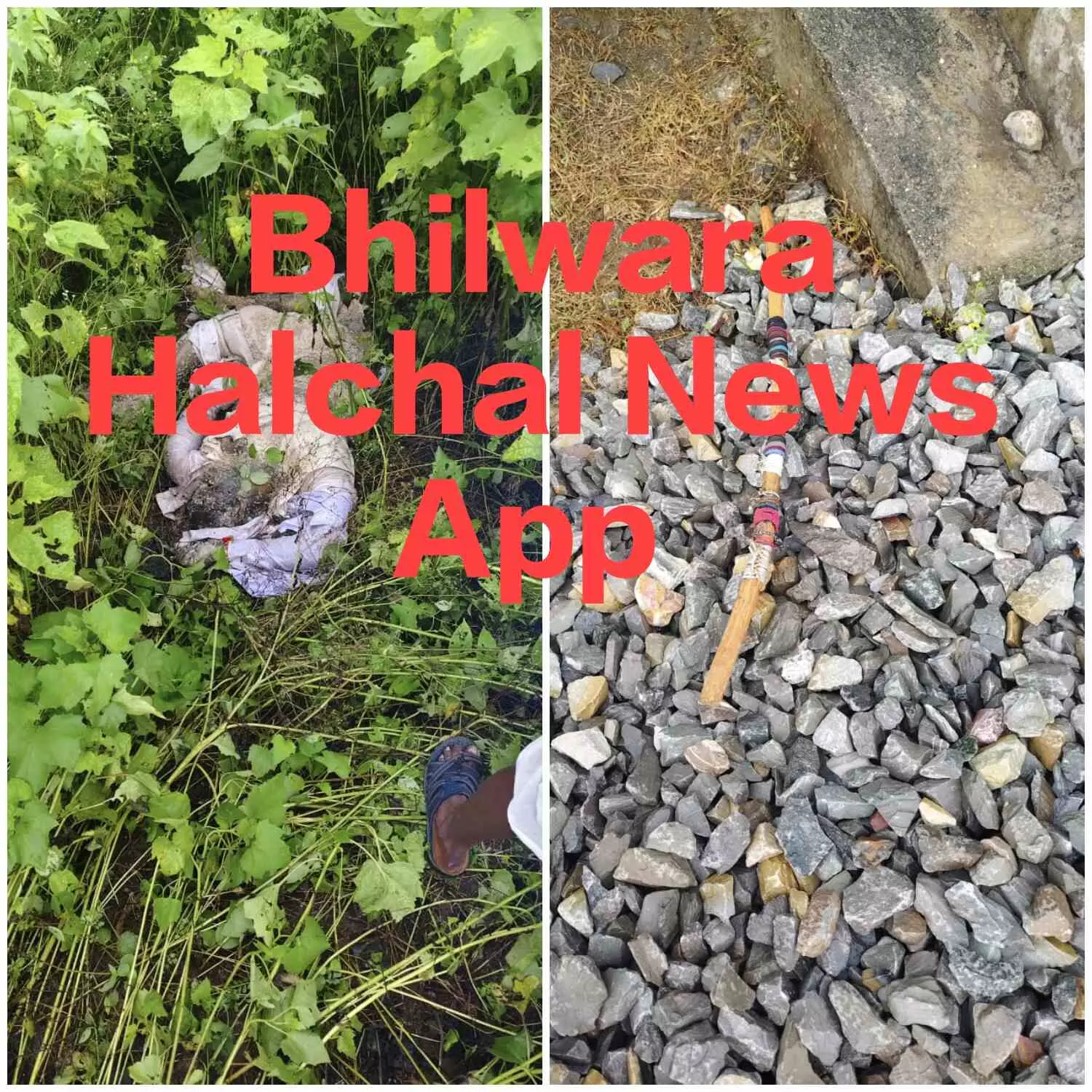 ट्रेन की टक्कर से बुजुर्ग की मौत, तीन दिन बाद झाडिय़ों में मिला शव, नहीं हुई पहचान ट्रेन की टक्कर से बुजुर्ग की मौत, तीन दिन बाद झाडिय़ों में मिला शव, नहीं हुई पहचान