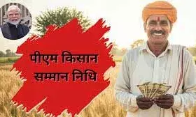 भीलवाड़ा के किसानों को नहीं मिला 20वीं किस्त का लाभ, योजना पर उठे सवाल भीलवाड़ा के किसानों को नहीं मिला 20वीं किस्त का लाभ, योजना पर उठे सवाल