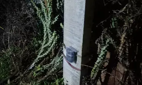 नाहरी गांव में पैंथर का आतंक, प्रशासन ने लगवाए पिंजरे और कैमरे