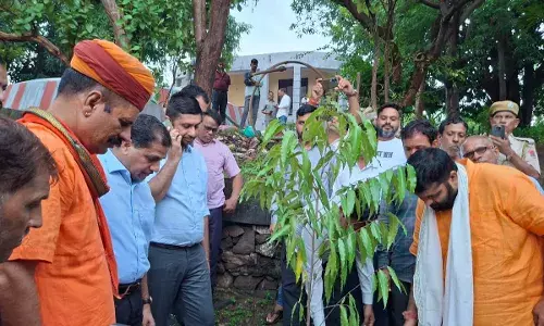 अतिवृष्टि प्रभावित क्षेत्रों की मॉनिटरिंग कर प्रभावितों को तत्काल उपलब्ध कराये सहायता-   एमपी मीणा