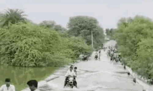 भीलवाड़ा में बरसात का कहर: नदियां उफान पर, पेड़ डालकर रोका रास्ता!लोगों को हो रही है परेशानियां