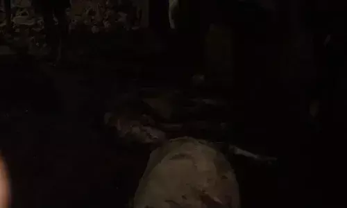 आकाशीय बिजली गिरने से 2 बकरियों की मौत