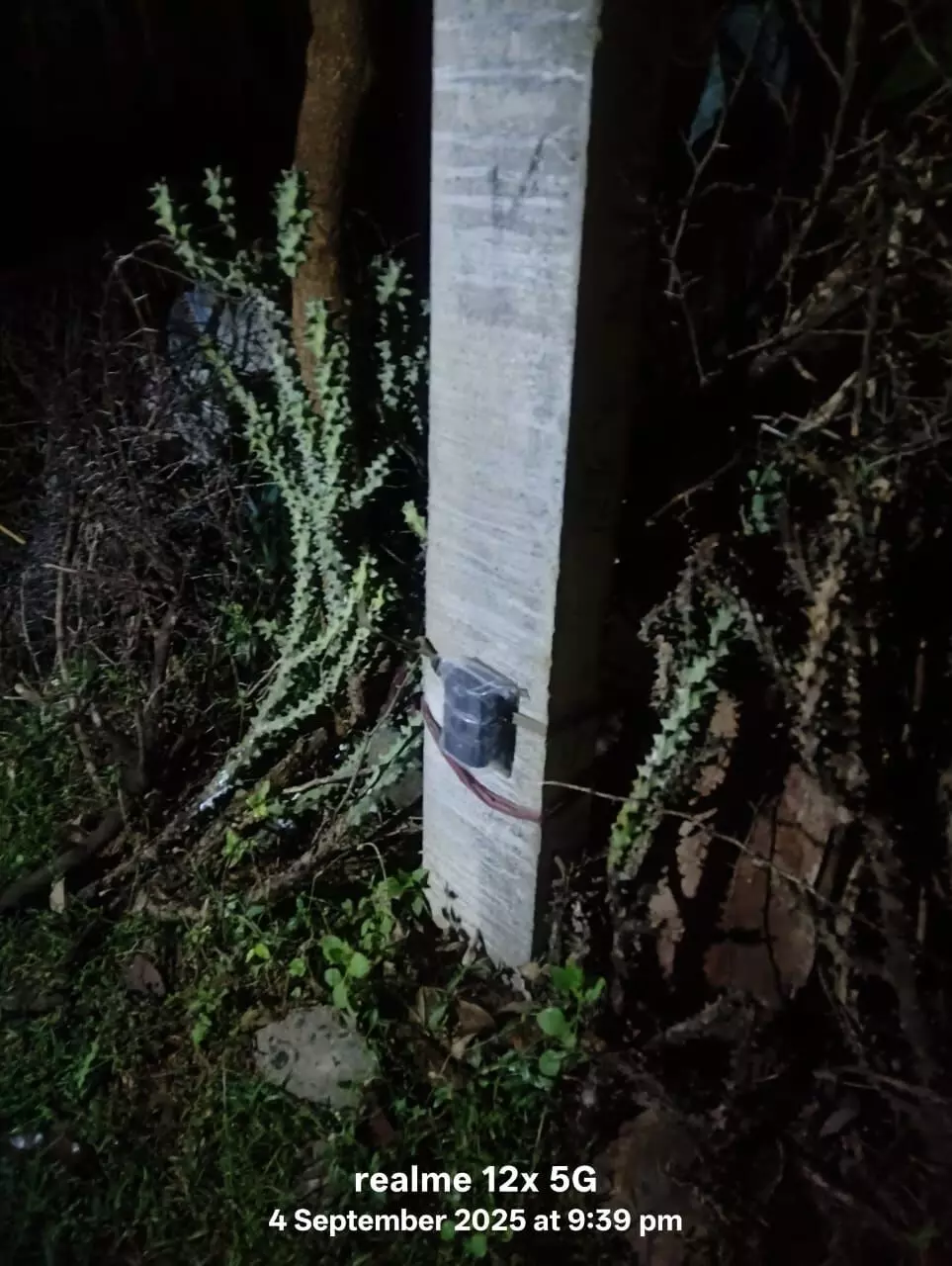 नाहरी गांव में पैंथर का आतंक, प्रशासन ने लगवाए पिंजरे और कैमरे नाहरी गांव में पैंथर का आतंक, प्रशासन ने लगवाए पिंजरे और कैमरे