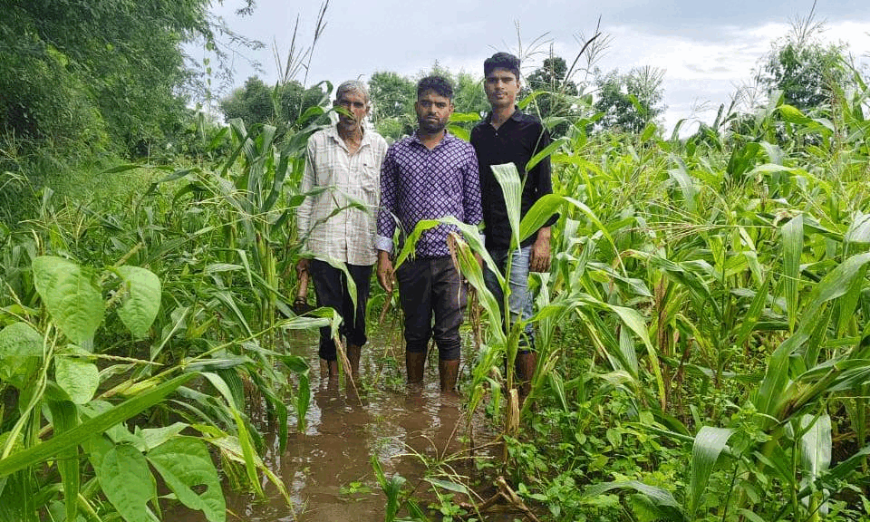 दबंग ने बंद की पुलिया, डूबीं किसानों की फसलें, खेत बने तालाब–कार्रवाई को तरसे किसान