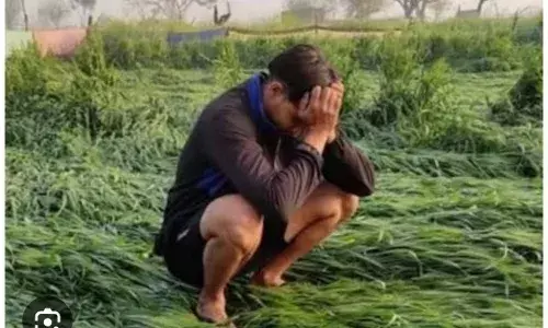 विधायक   किसानों की फसल खराबी से हुए नुकसान के प्रति गंभीर