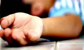 बारह साल के बालक की सर्पदंश से मौत