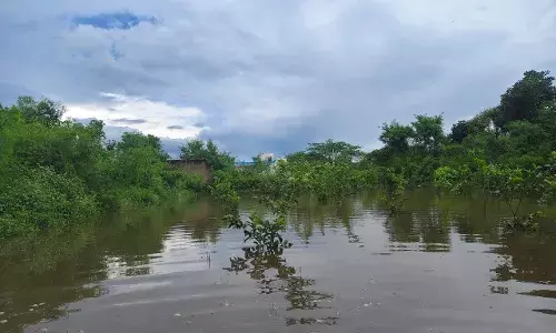 दबंग ने पुलिया बंद की, खेतों में भरा पानी