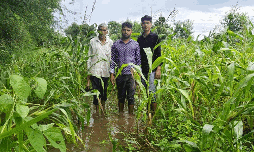 दबंग ने बंद की पुलिया, डूबीं किसानों की फसलें, खेत बने तालाब–कार्रवाई को तरसे किसान