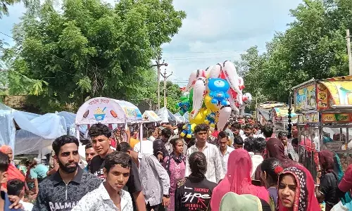 सरदार नगर में भरा तेजाजी का मेला