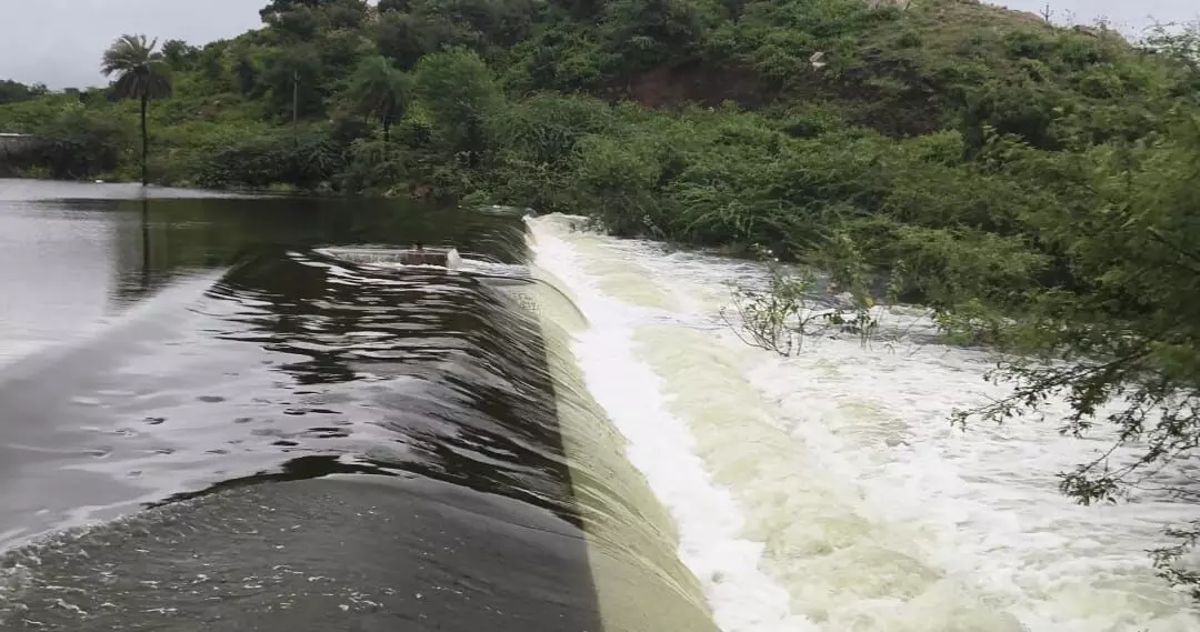 गुरलां में रणजीत सागर तालाब ओवरफ्लो, पर्यटकों के लिए आकर्षण बना गुरलां में रणजीत सागर तालाब ओवरफ्लो, पर्यटकों के लिए आकर्षण बना