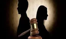 दिल्ली कोर्ट ने तलाकशुदा महिला की गुजारा भत्ता याचिका खारिज की, व्यभिचार का हवाला दिया दिल्ली कोर्ट ने तलाकशुदा महिला की गुजारा भत्ता याचिका खारिज की, व्यभिचार का हवाला दिया