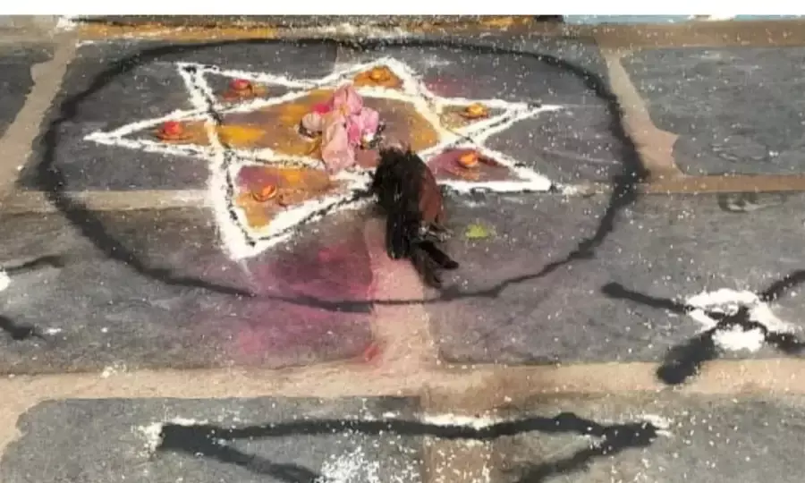 स्कूल में प्रिंसिपल रूम के बाहर मरा पक्षी रखकर किया जादू-टोना, दहशत में आए शिक्षकों ने उठाया ये कदम