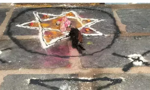 स्कूल में प्रिंसिपल रूम के बाहर मरा पक्षी रखकर किया जादू-टोना, दहशत में आए शिक्षकों ने उठाया ये कदम