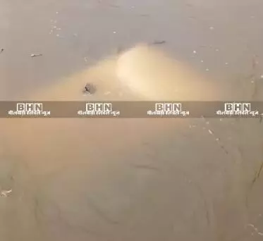 गुरला में बड़ा हादसा टला : उफनते नाले में बही बोलेरो, ग्रामीणों ने बचाई तीन लोगों की जान गुरला में बड़ा हादसा टला : उफनते नाले में बही बोलेरो, ग्रामीणों ने बचाई तीन लोगों की जान