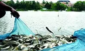 हंगामे के बीच पास हुआ मत्स्य क्षेत्र संशोधन विधेयक, मछली शिकार पर अब 25 हजार तक जुर्माना