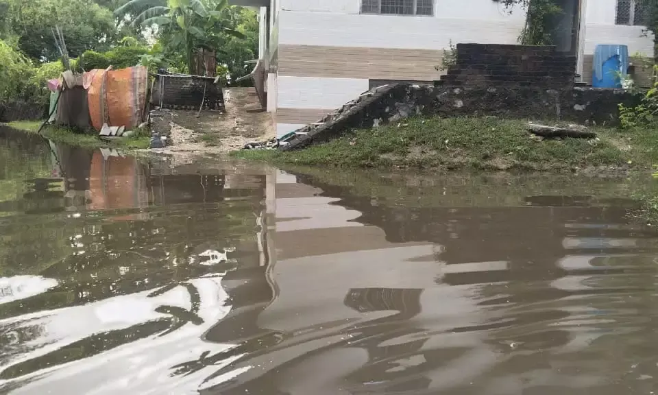 पनोतिया गांव में जलभराव, मोहल्ले में बीमारियों का भय ,फुलिया कलां प्रशासन नहीं दे रहा ध्यान