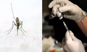 पांच कंपनियों को मिली जिम्मेदारी, जल्द शुरू होगा मलेरिया टीके का उत्पादन