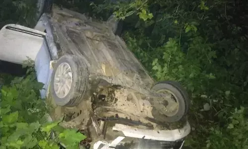 तेज रफ्तार कार ने दो गौवंशों को कुचला, चालक घायल तेज रफ्तार कार ने दो गौवंशों को कुचला, चालक घायल