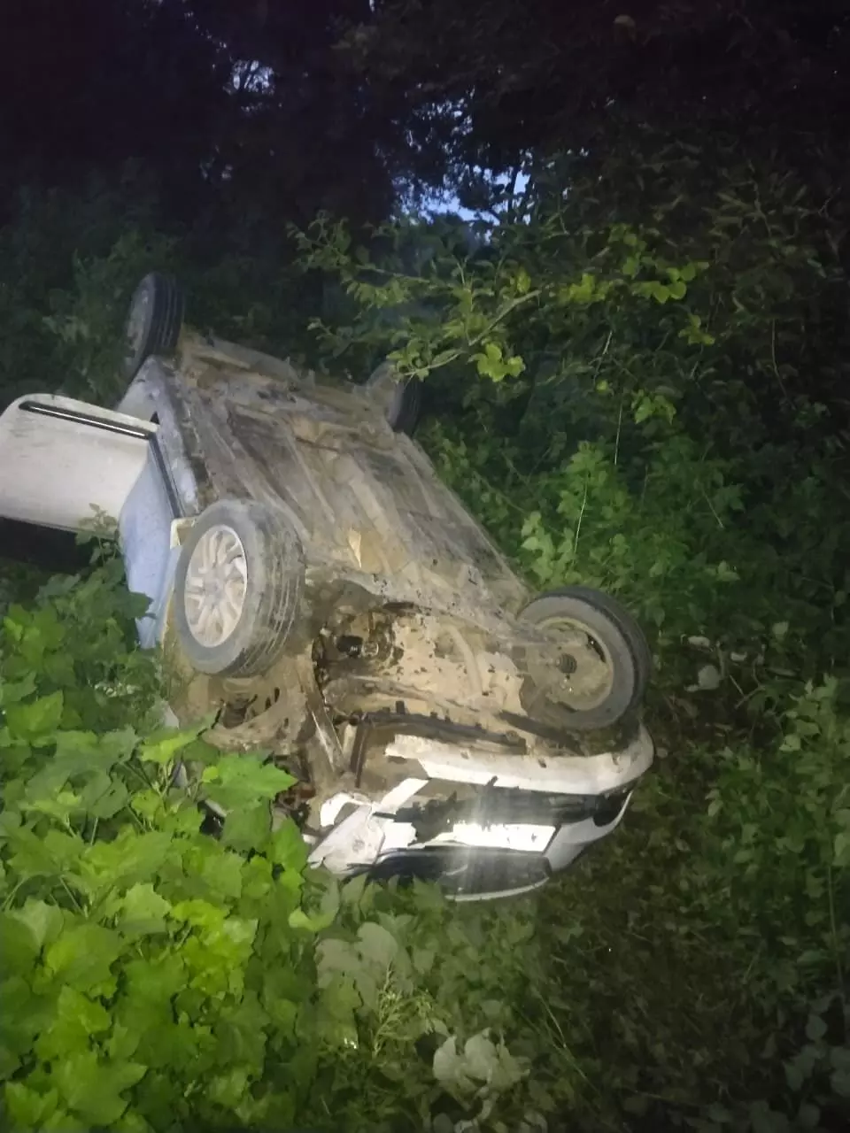 तेज रफ्तार कार ने दो गौवंशों को कुचला, चालक घायल तेज रफ्तार कार ने दो गौवंशों को कुचला, चालक घायल